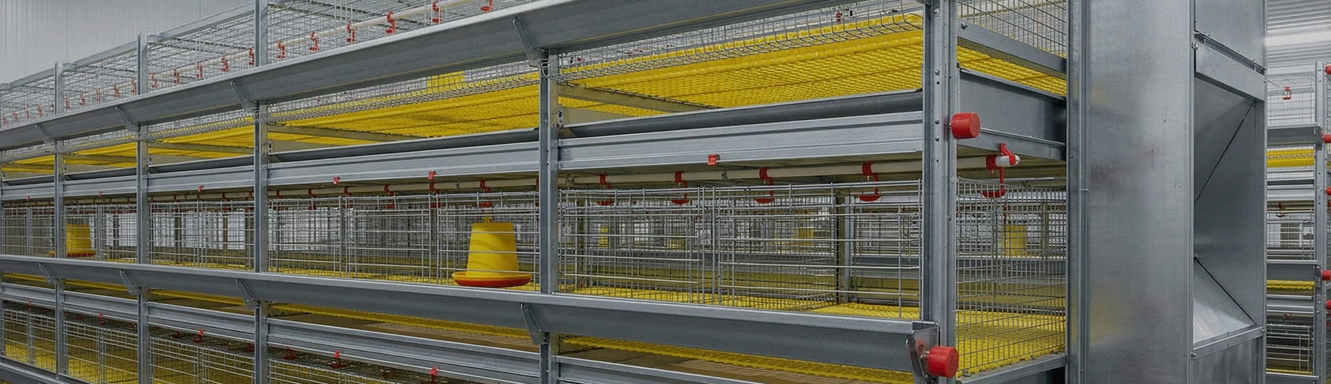 Jaulas para pollos de engorde