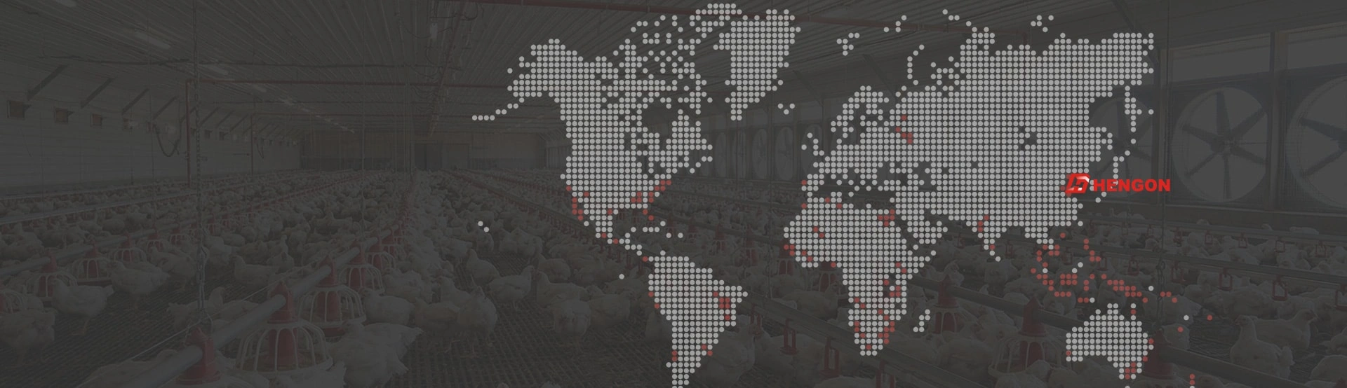 MÁS DE 20 PAÍSES Y REGIONES
