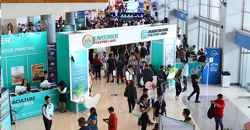 HENGON brilla en Livestock Philippines 2025: Lo más destacado de la exposición y visitas de clientes HENGON brilla en Livestock Philippines 2025: Lo más destacado de la exposición y visitas de clientes
