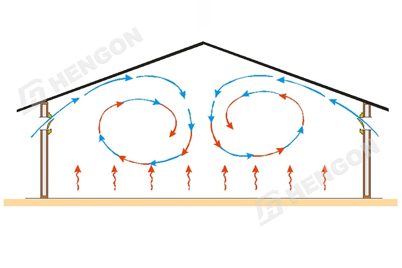 Cinco factores clave para construir un gallinero moderno y eficiente Cinco factores clave para construir un gallinero moderno y eficiente