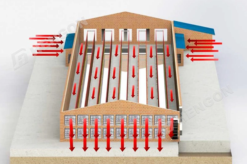 Cinco factores clave para construir un gallinero moderno y eficiente Cinco factores clave para construir un gallinero moderno y eficiente