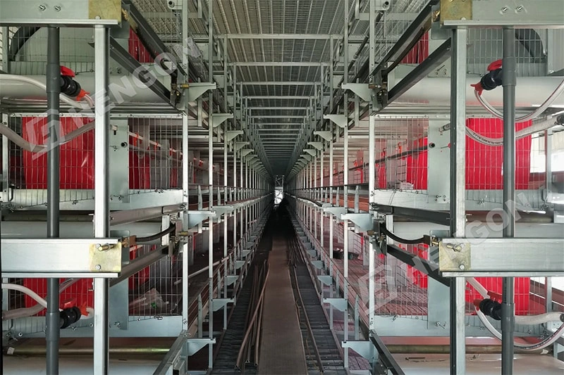 Equipos inteligentes para la cría de pollos de engorde para un mejor crecimiento de los pollos