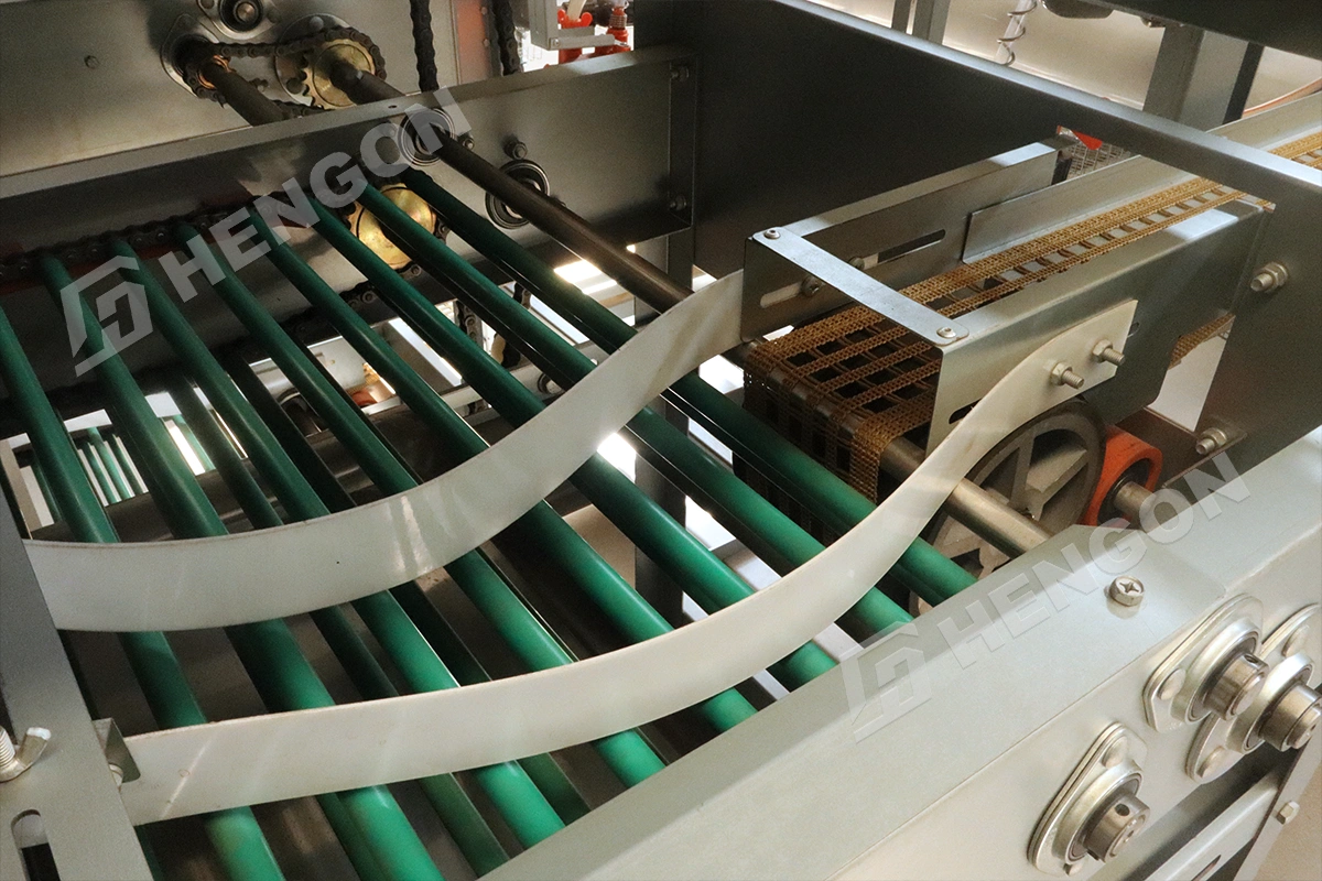 automatic egg collectors.webp automatic egg collectors.webp